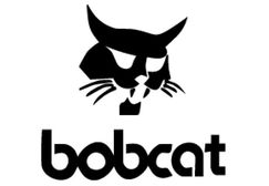 Bobcat